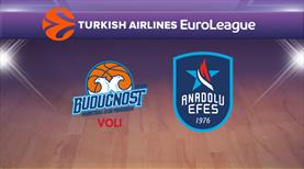 Buducnost VOLI - Anadolu Efes