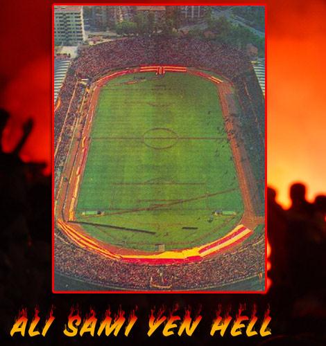 Ligde üst üste yaşanan şampiyonluklar ve Avrupa'da kazanılan başarılarla birlikte Galatasaray için geliri yükseltecek modern bir stat kaçınılmaz olmuştu. Dönemin kulüp başkanı Faruk Süren, Ali Sami Yen'in yıkılıp tekrar yapılması için kolları sıvadı. Tekfen firması ile 85 milyon dolarlık proje yapıldı.