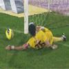 Panter Servet(!)